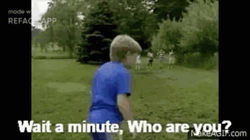 Danniboi Danniboireface GIF