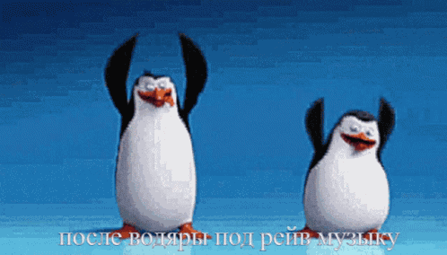 Dansj15 GIF