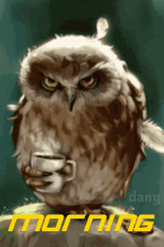 Dany Ko Zna GIF