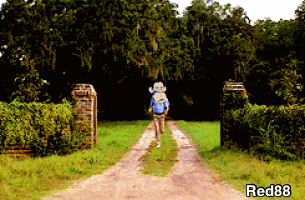 Dapes Apefathers GIF