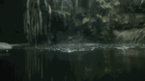 Dark Dark Grunge GIF