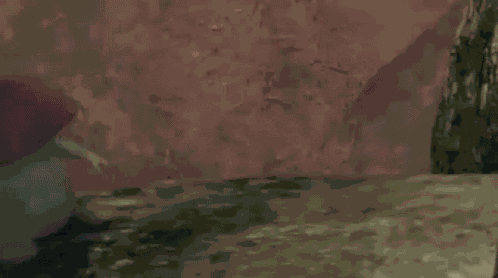 Dark Souls GIF