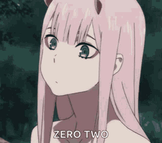 Darling In The Franxx Zero Two GIF