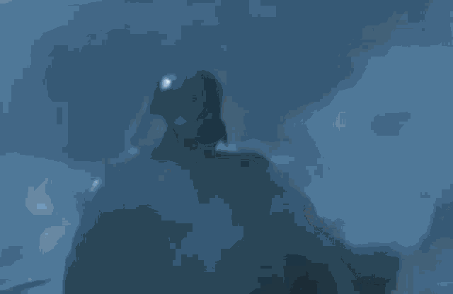 Darth Vader Sith Lord GIF