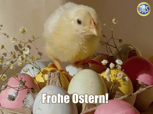 Dasrechtsschutz Dasrechtsschutzversicherung GIF