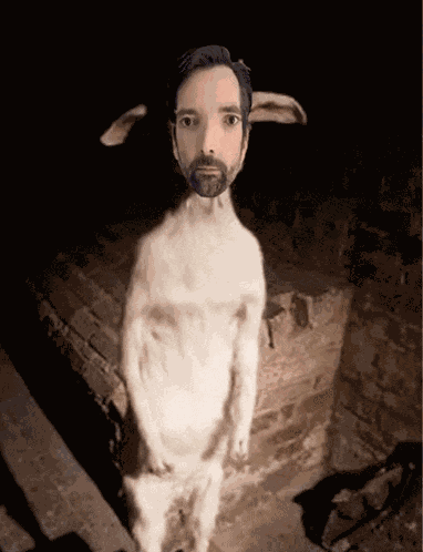 David Tennant Doctor Who Meme