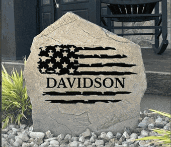 Davidson America Meme