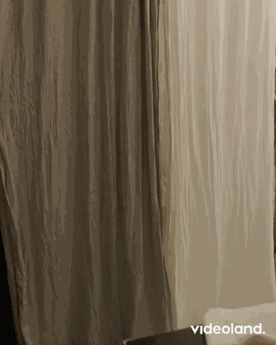 De Bachelor Bachelor Thomas GIF