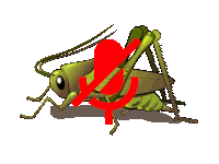 De Krekel Is Stil Sticker