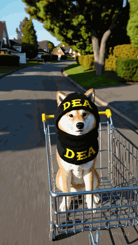Dea On Solana Dog Enforcement Agency On Solana GIF