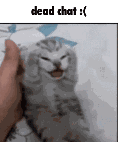 Dead Chat Cat Meme GIF