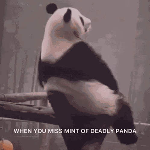 Deadlypanda Cnft GIF