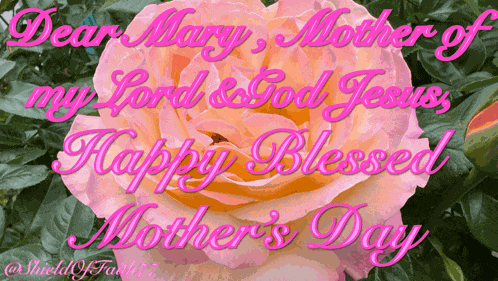 Dear Mary Mother Of My Lord And God Jesus Happy Blessed Mothers Day Immaculate Conception Ever Virgin Mary Child GIF