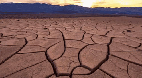 Death Valley Cracked Earth GIF
