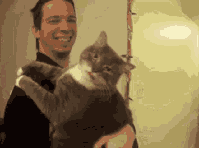 Debra From Okbr Debra GIF