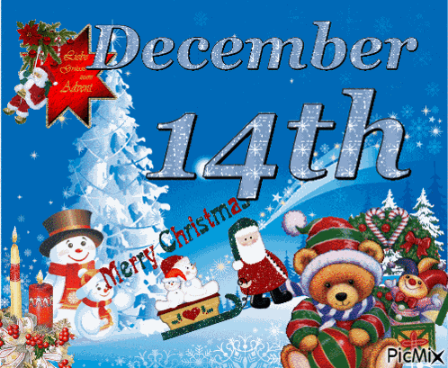 December 14th 14th December GIF