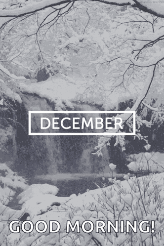December Happy December GIF