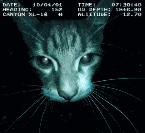 Deep Sea Creature Floppy GIF