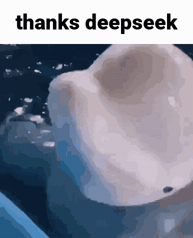 Deepseek Thanks GIF