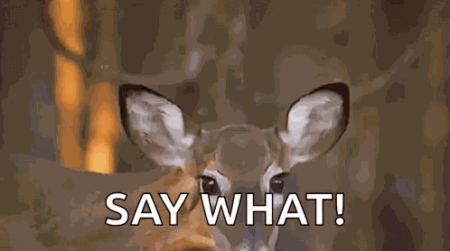 Deer GIF