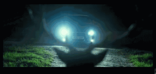 Deer Car GIF
