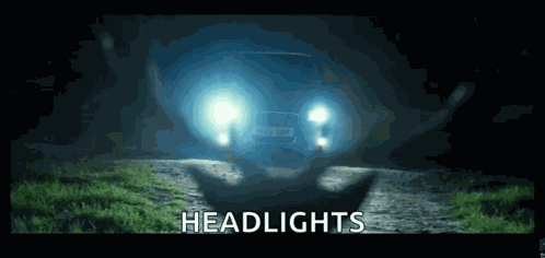 Deer Car GIF