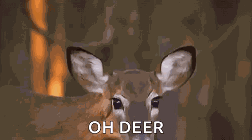 Deer GIF
