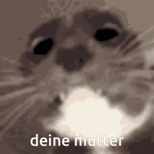 Deine Mutter Katze GIF