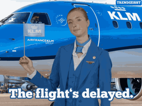 Delayed Flight GIF