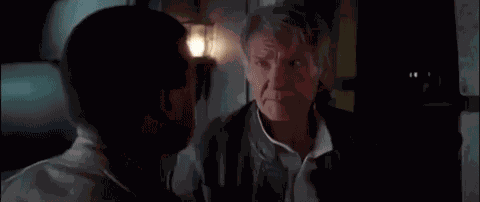 Delicatekestis Han Solo GIF