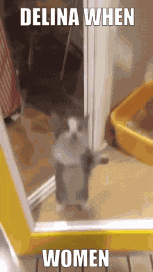 Delina Women GIF