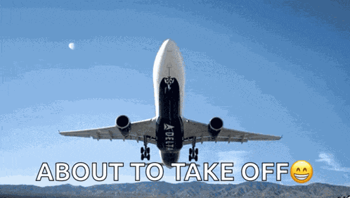 Delta Plane GIF