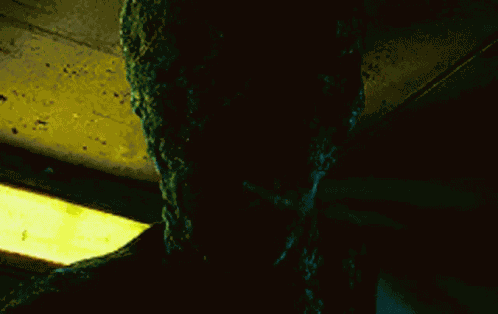 Dementor Voldemort Harry GIF