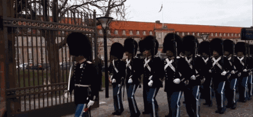 Denmark Queen Army GIF
