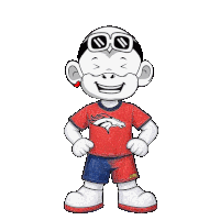 Denver Broncos Broncos Fan Sticker