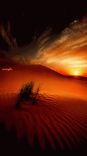 Desert GIF
