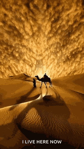 Desert Sky GIF