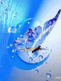 Design Animation GIF