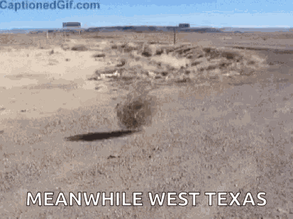 Dessert Desert GIF