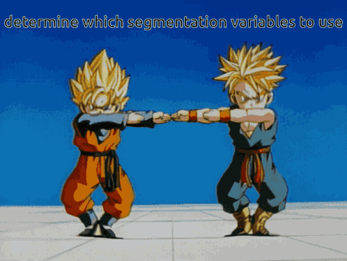 Determine Segmentation Variables GIF