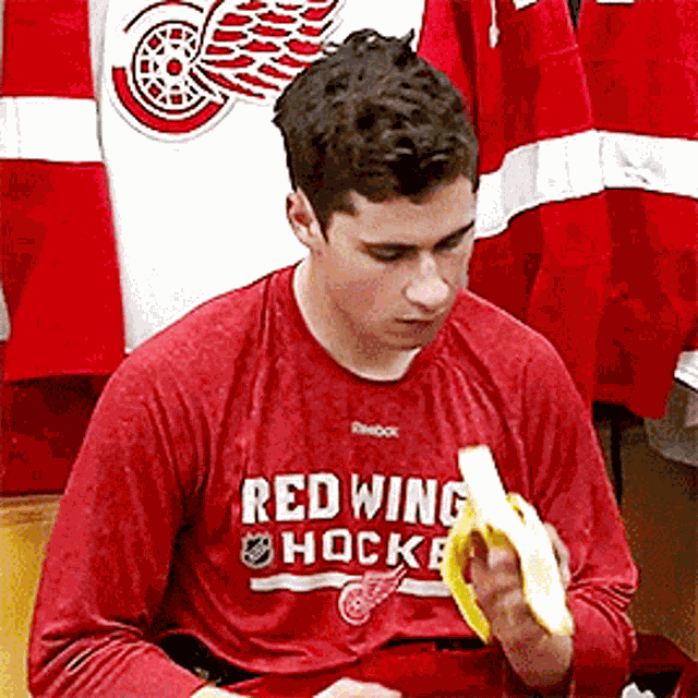 Detroit Red Wings Dylan Larkin GIF