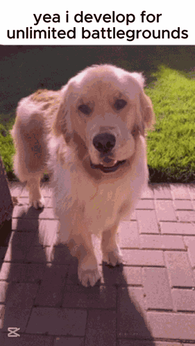 Develop GIF