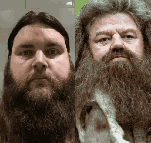 Dghagrid GIF