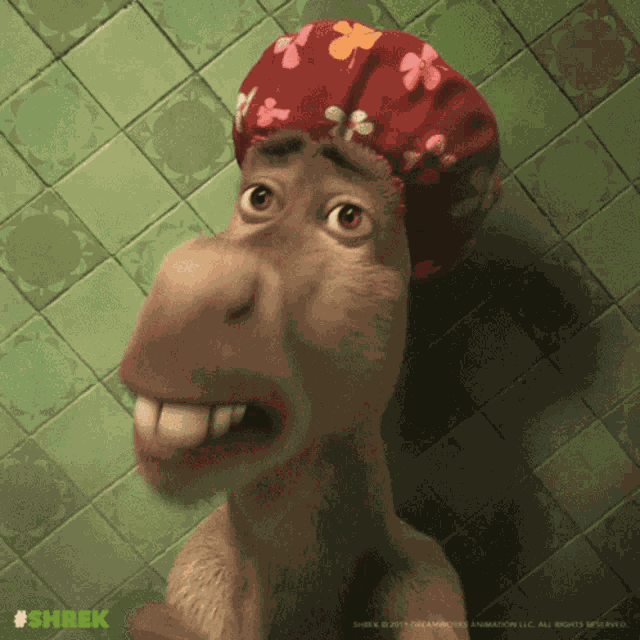 Dhulbahante Faras GIF