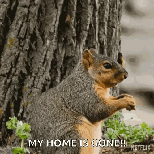 Did You Call Me Our Living World GIF