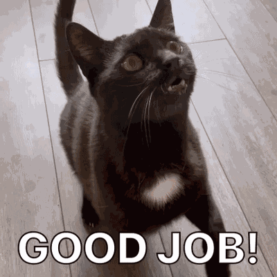 Diekatzlei Die Katzlei GIF