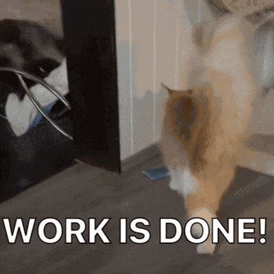 Diekatzlei Die Katzlei GIF