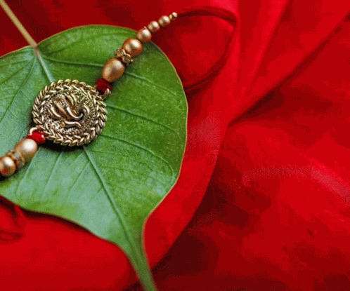 Digitalbharati Digitalrakhi GIF