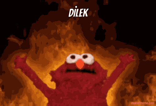 Dilek GIF