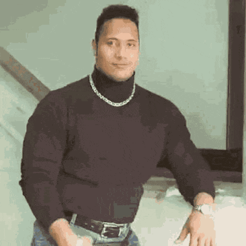 Dino The Rock Seventeen GIF